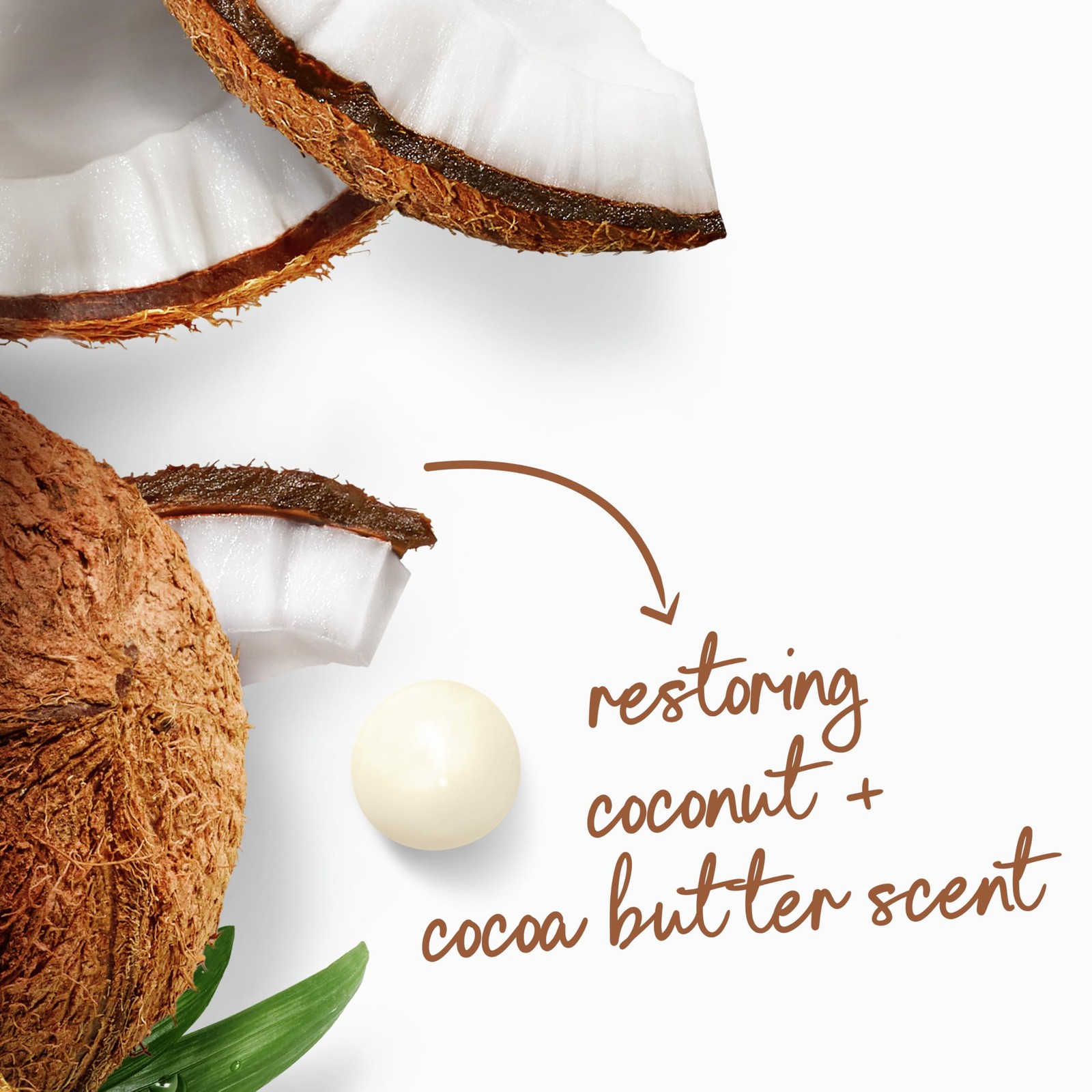 Dove Body Wash with Pump Restore Coconut & 30.6 Fl Oz (Pack of 1), White