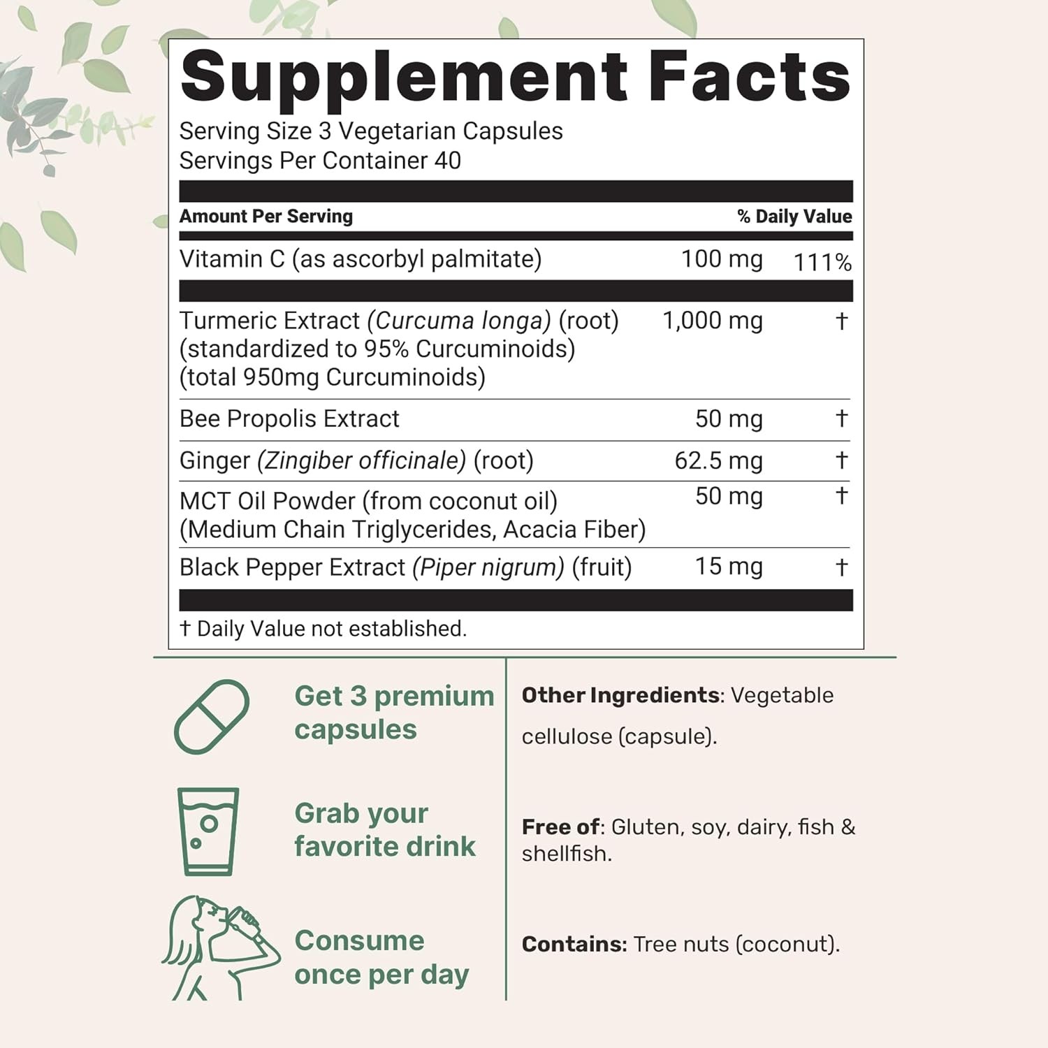 Micro Ingredients Turmeric Curcumin 95 2-Pack 1000mg Black Pepper 240 Capsules