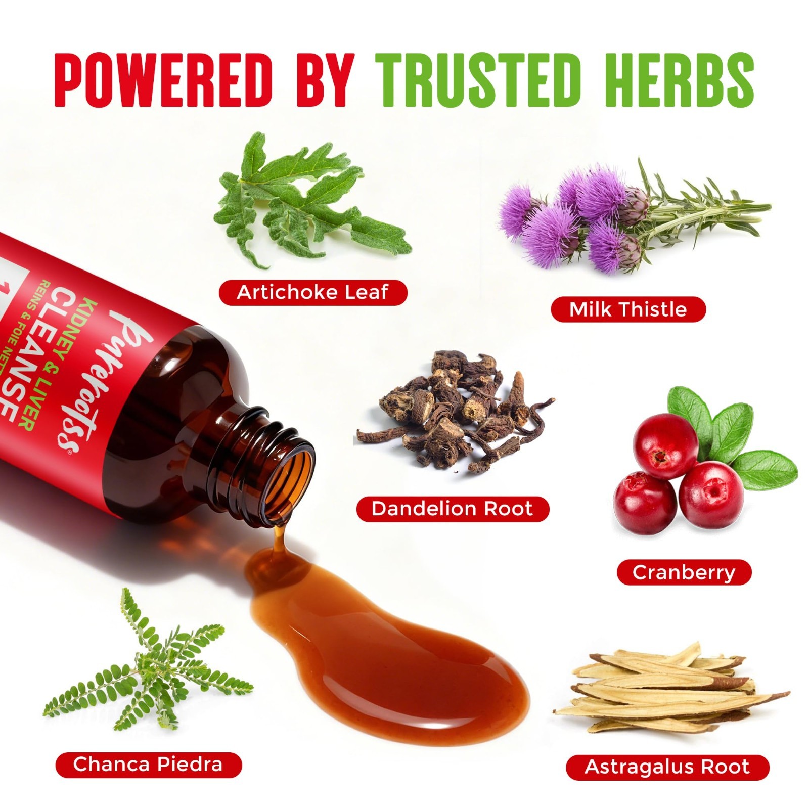 Kidney Cleanse Detox Drops Pack – Chanca Piedra, Cranberry & Milk Thistle – Live