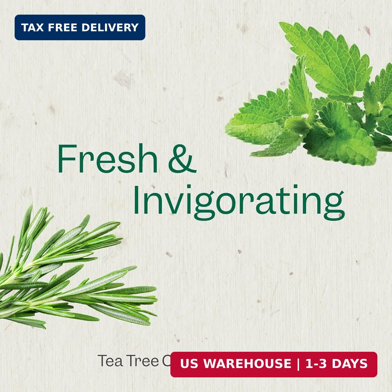 Renpure Tea Tree & Mint Body Wash – Cleanses, Invigorates & Refreshes Skin Witho
