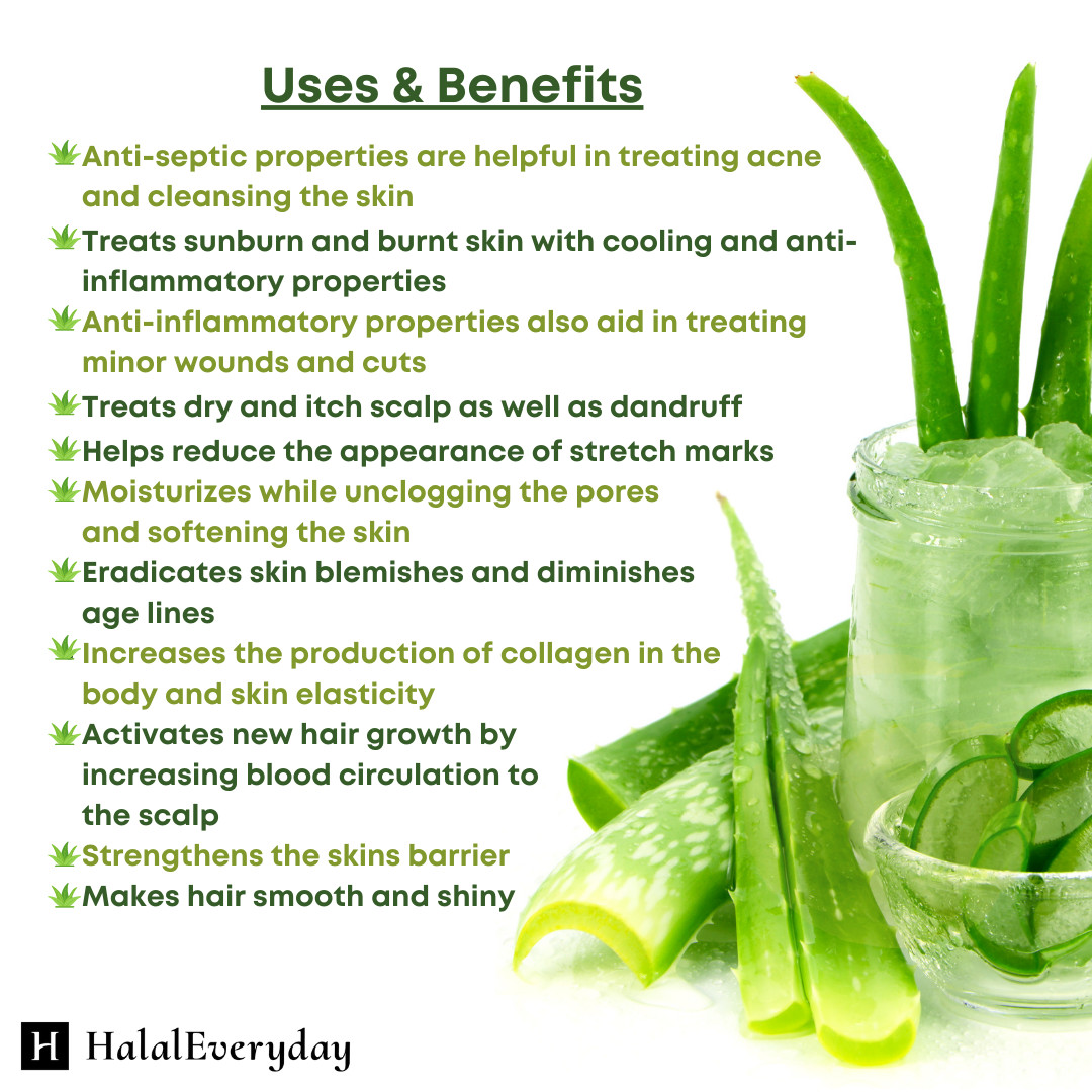 Aloe Vera Gel 4 oz – 100% Pure Organic Soothing Moisturizing Skin Care Lotion