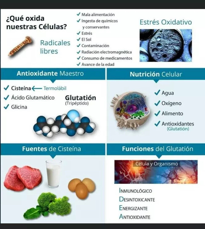 IMMUNOCAL 1)platinum 1)Immunocal Classic And booster (cup free)