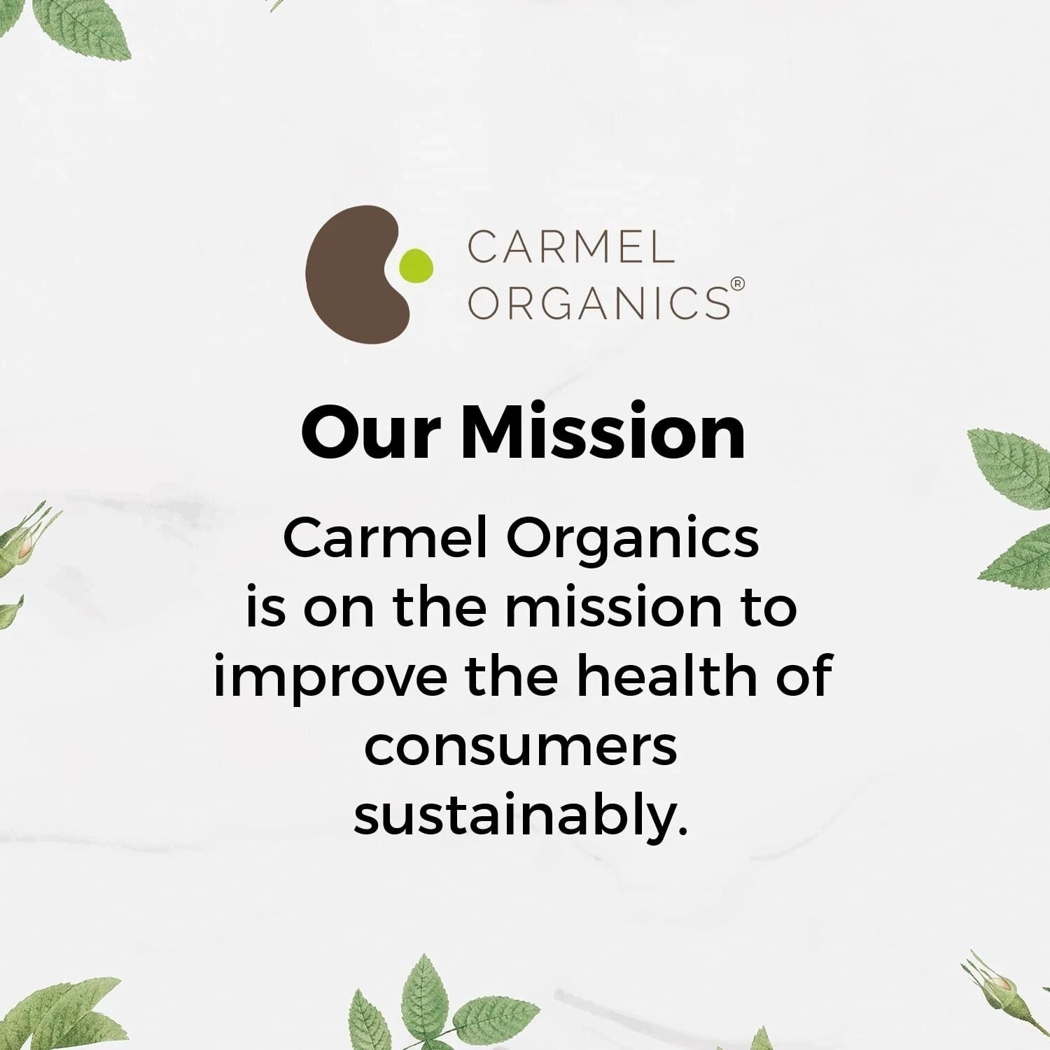 CARMEL ORGANICS Triphala Fruits Powder Helps Relieve Constipation 100g