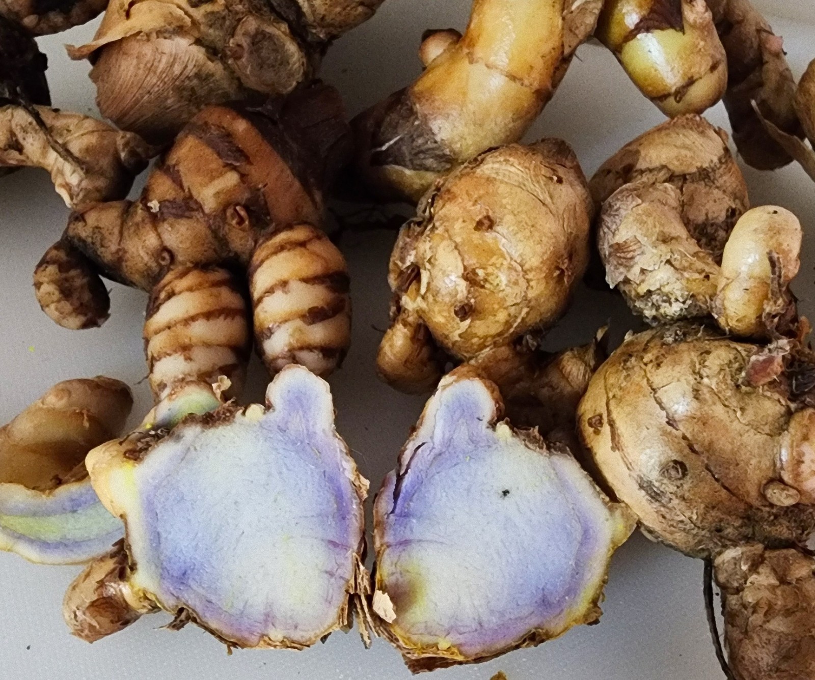 Fresh 1 lbs Rare Purple Turmeric, Black Turmeric. ship from Florida
