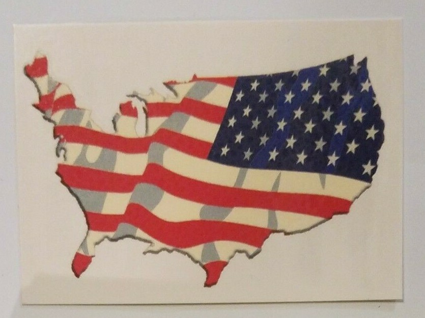 US Flag Continental America Vending Machine Temp Tattoos (2) United States Pride