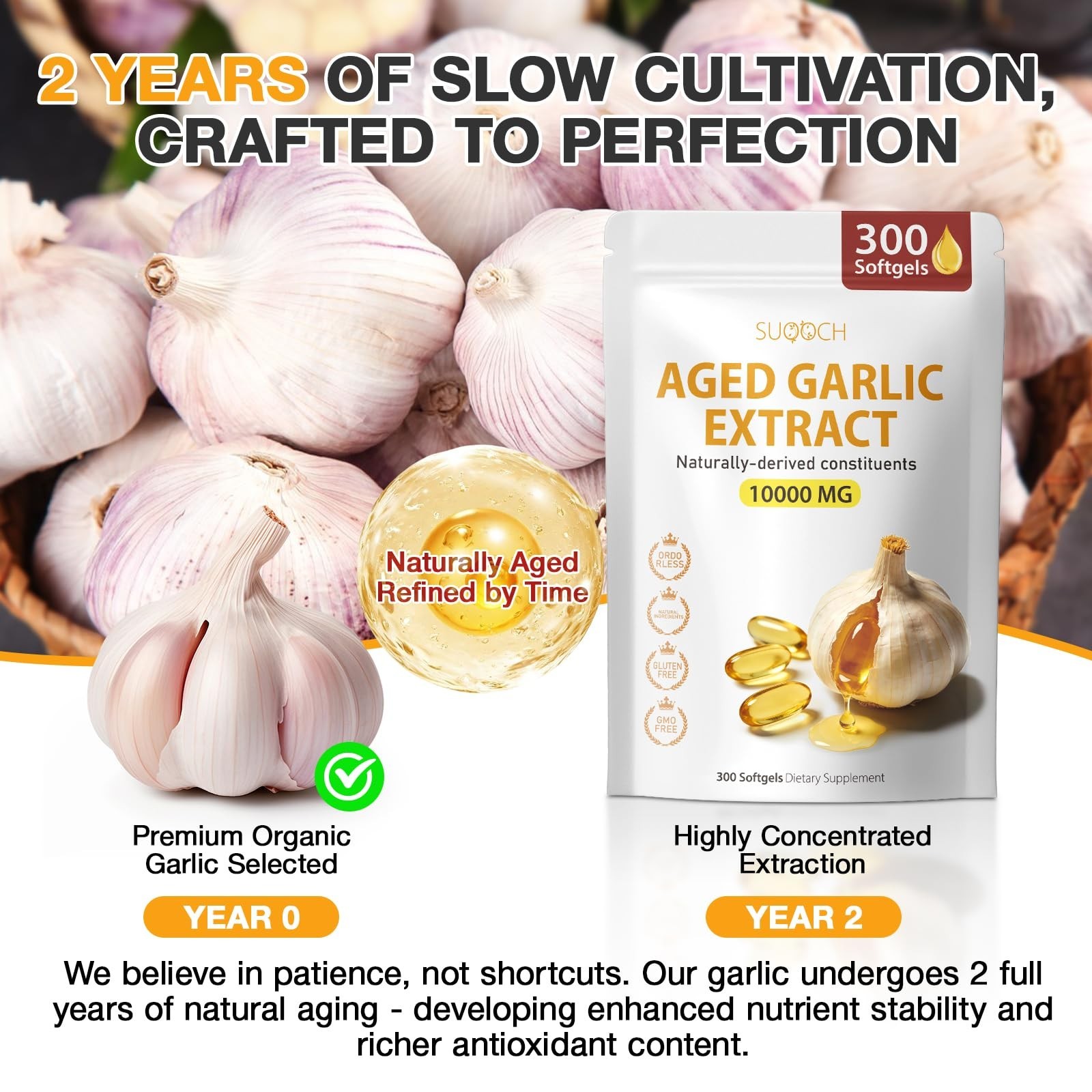 Aged Garlic Extract Softgels – 300 Count Non-GMO Supplements for Heart Health &