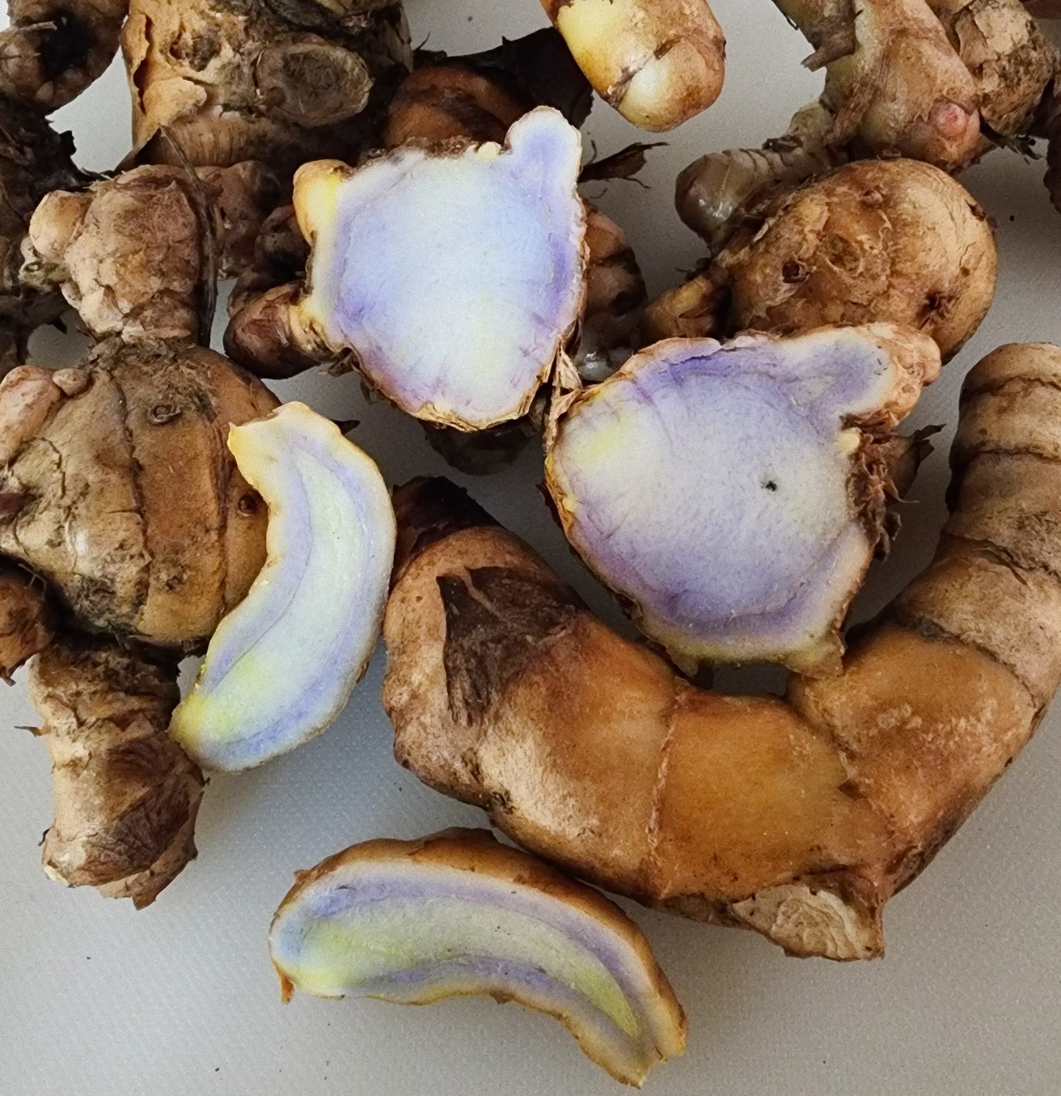Fresh 1 lbs Rare Purple Turmeric, Black Turmeric. ship from Florida