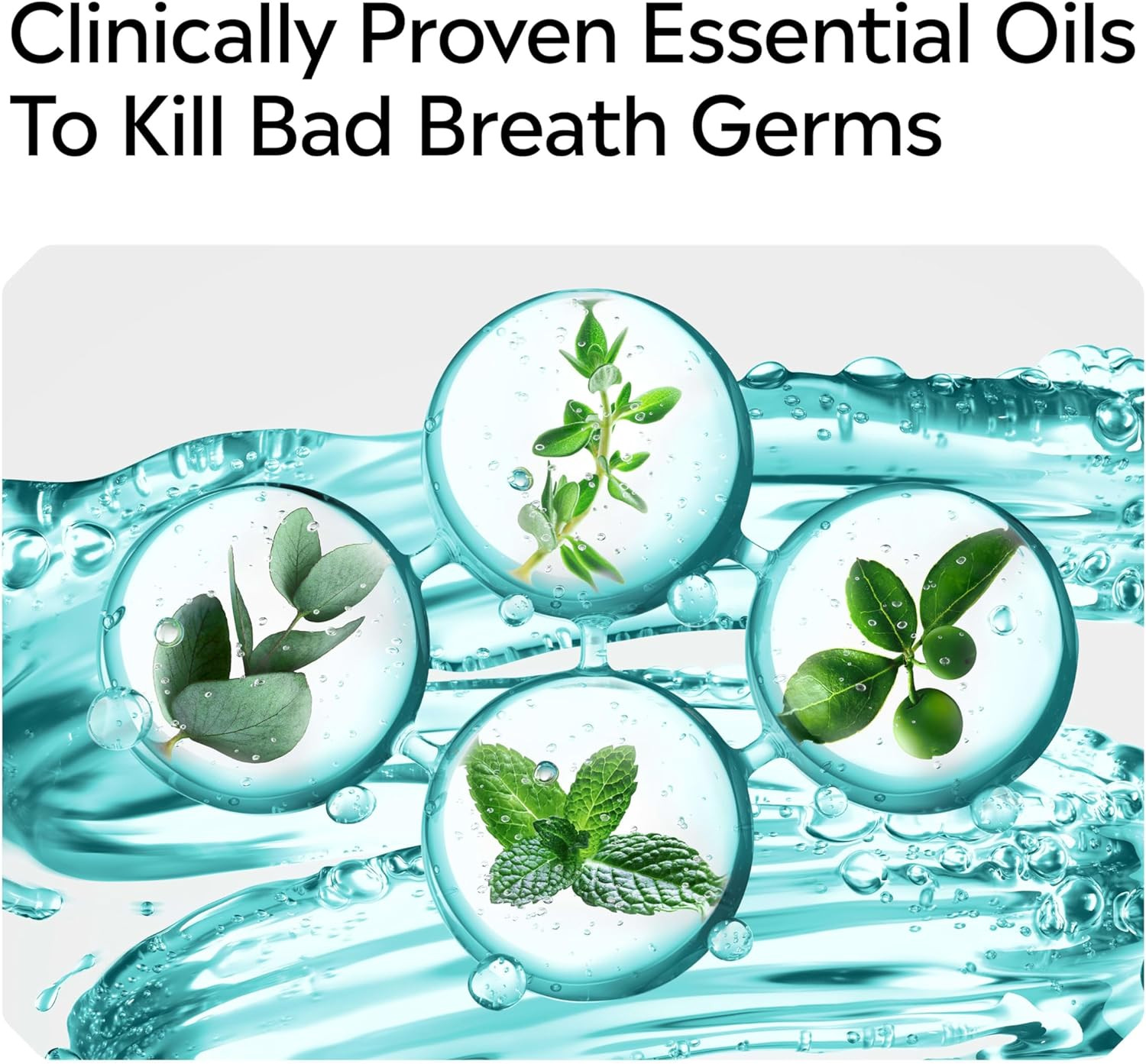 Cool Mint Alcohol-Free Mild Mouthwash, Oral Rinse Kills 99.9% of Germs
