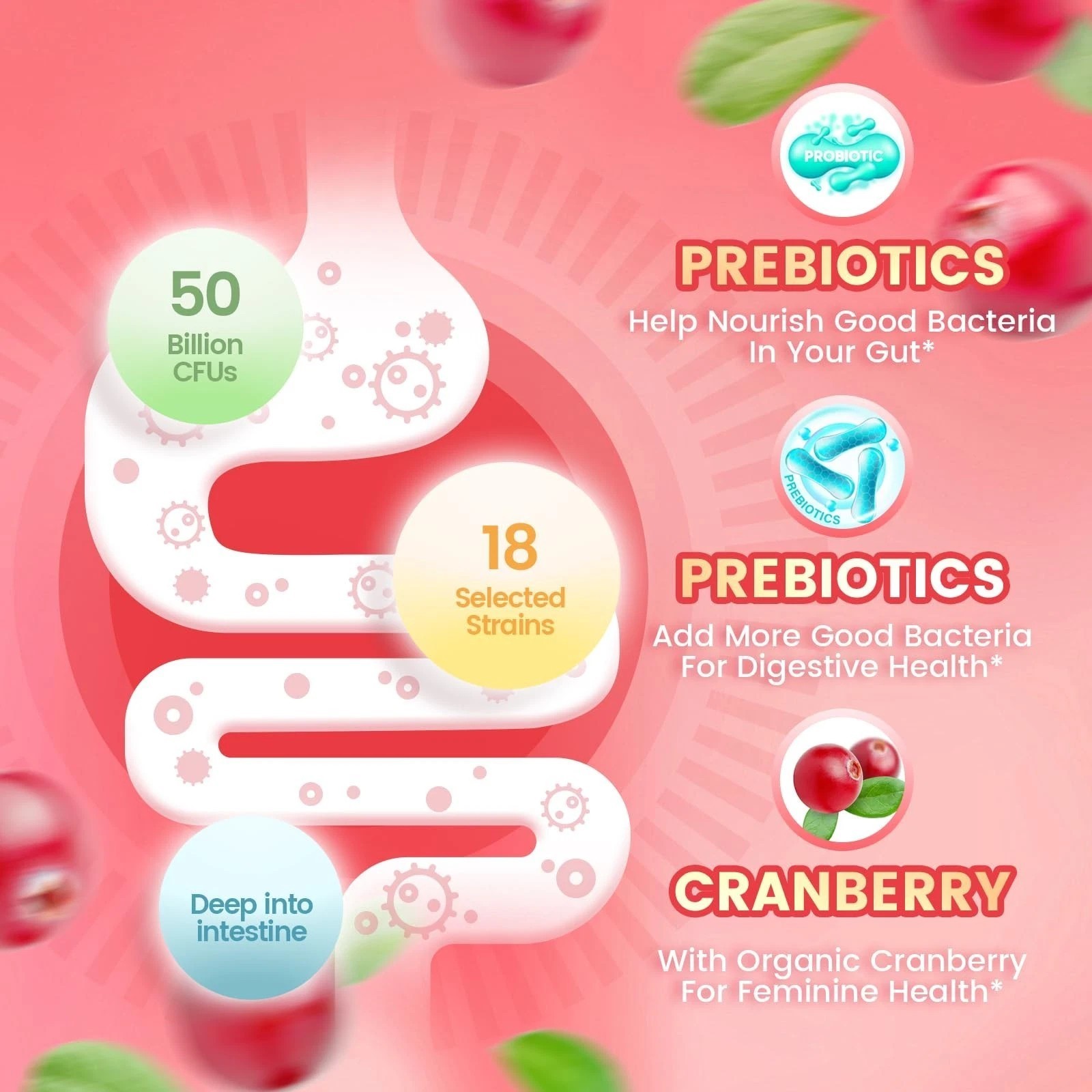 Cranberry Probiotic Gummies for Women – Vaginal&Immune Health,No Sugar,60 Pieces