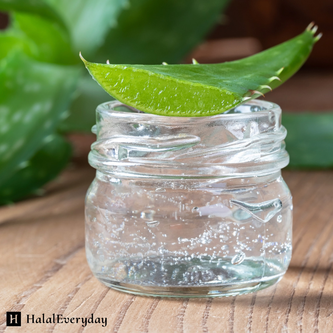 Aloe Vera Gel 4 oz – 100% Pure Organic Soothing Moisturizing Skin Care Lotion
