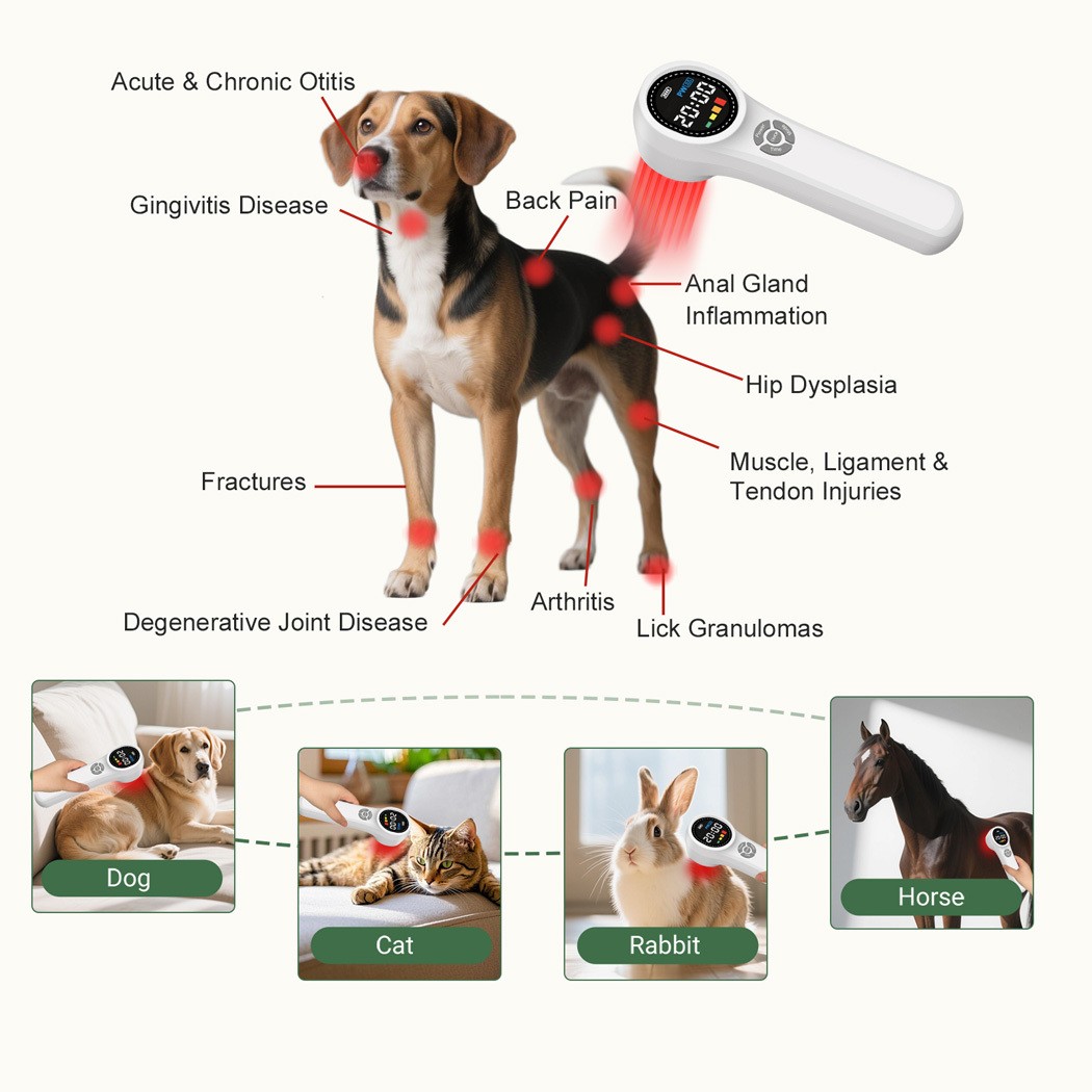 Low Level Laser Therapy Device for Arthritis,Tendinitis,Back Pain& Sports Injury