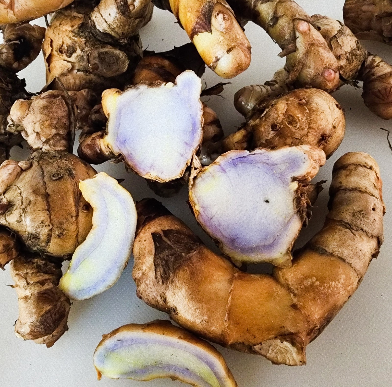Fresh 1 lbs Rare Purple Turmeric, Black Turmeric. ship from Florida