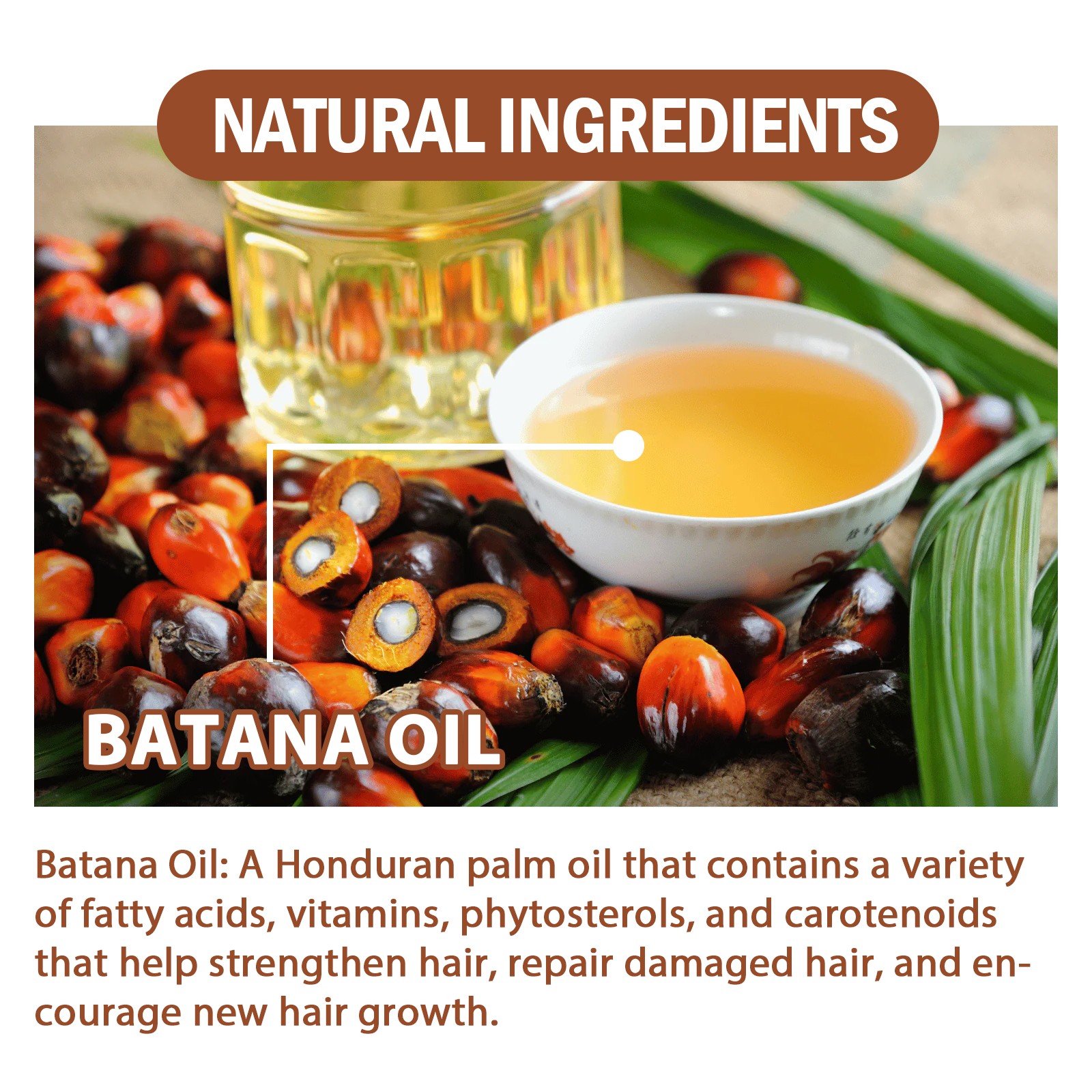 Batana Oil Conditioner for Hair Growth Hair Loss Treatment Men Women Hair Care