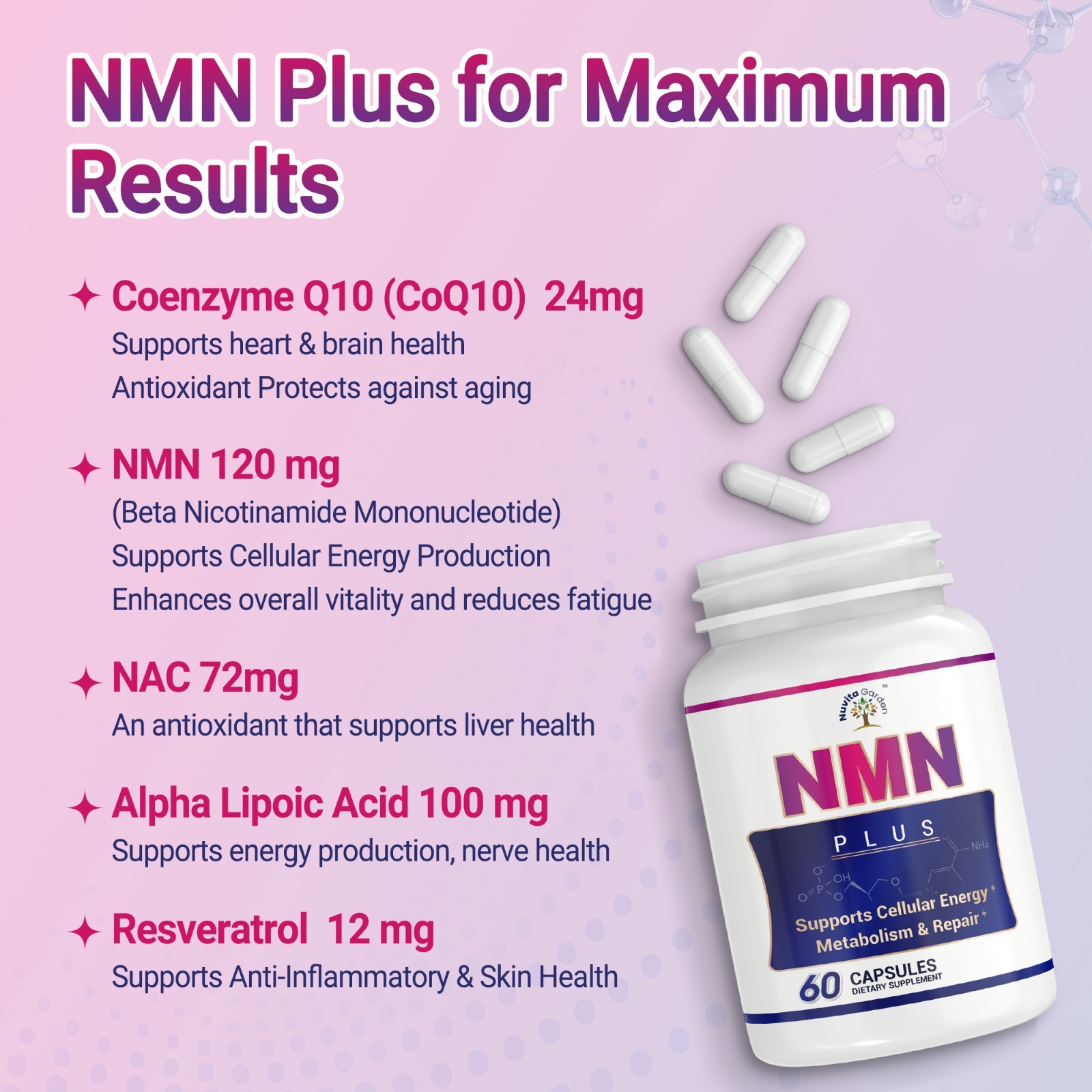 Niacinamide Enhance Metabolism Supports Anti-Aging 60 Capsule 60 Days Supply