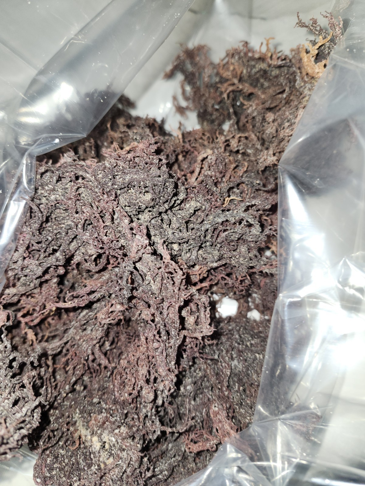 Purple SeaMoss Dry/dehydrated 1LB To 3LB Raw Wildcrafted All Natural 👑