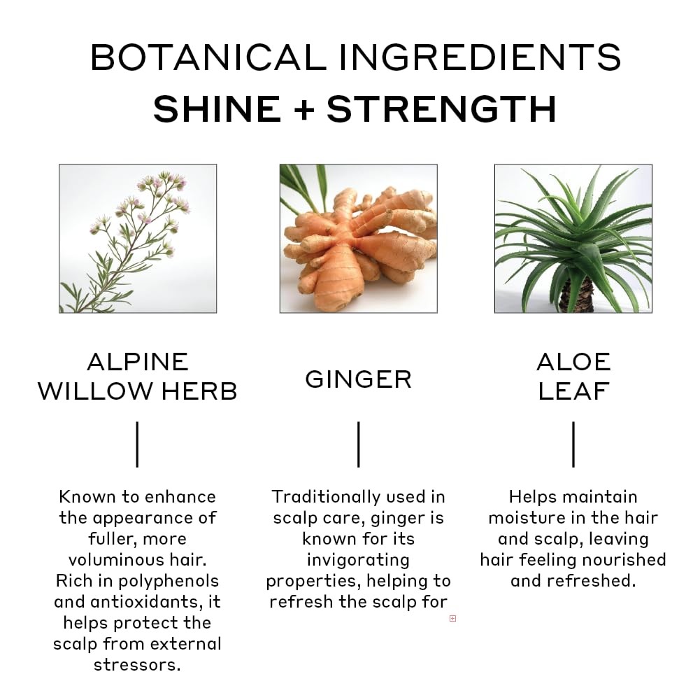 Zenagen Evolve Repair + Protect Nourishing Shampoo Unisex | Repairs