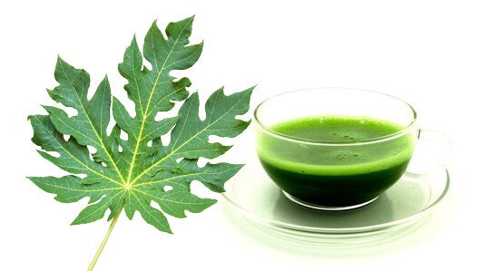 Papaya Leaf Powder I Supports Healthy Blood Platelets & Digestion, Anti-Oxidant
