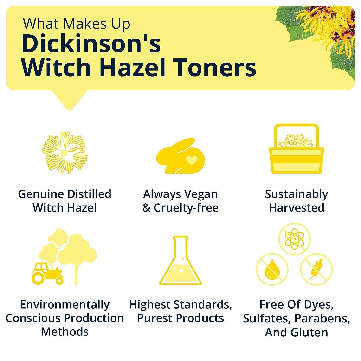 Dickinson’s Enhanced Witch Hazel Hydrating Toner with Rosewater, Alcohol Free
