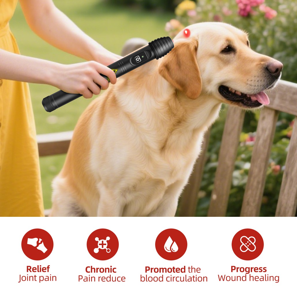500mW 808nm Infrared Low Level Laser Therapy Acupuncture Pen for Pain Relief