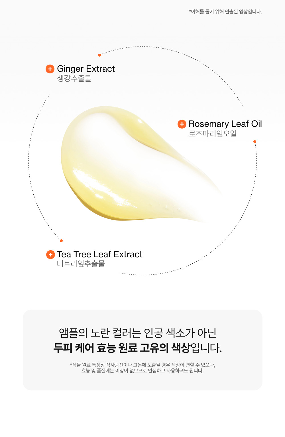lilyeve Grow:Turn Exosome Spicule Ampoule 3000 | Scalp Care