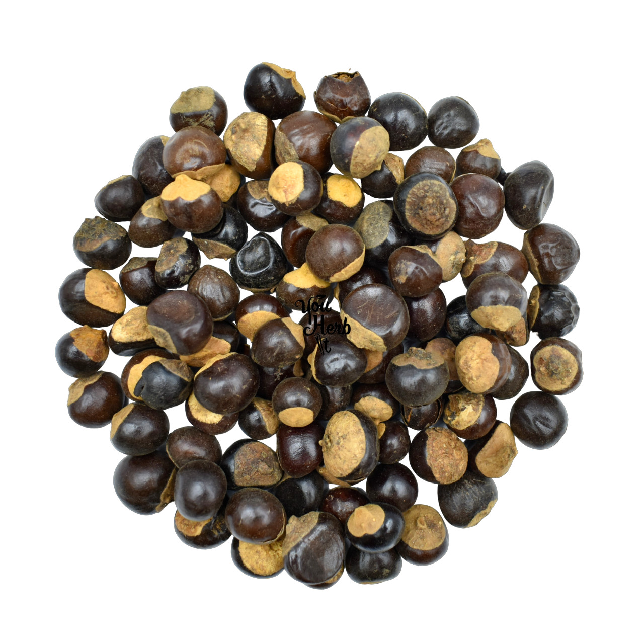 Guarana Dried Whole with Sell Seeds 300g-1.95kg – Paullinia Cupana