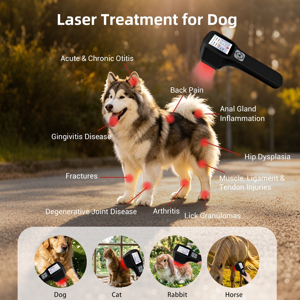2.5W Laser Therapy 650nm 808nm 905nm 980nm for Sprain,Wound Injuries Pain Relief