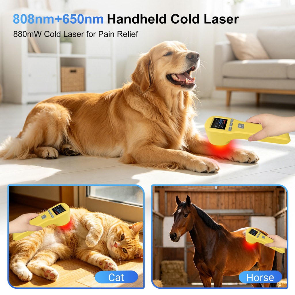 880mW Low Level Laser Therapy Device for Dogs Cats Horses Humans Pain Relief