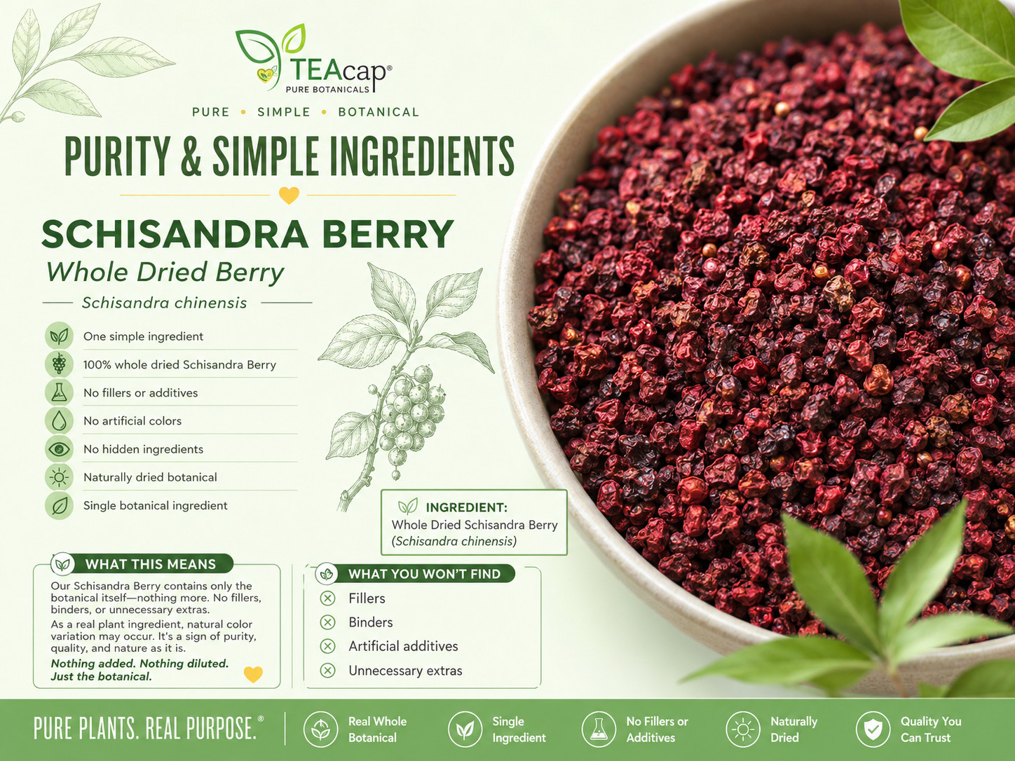 Schisandra Berry Herb Organic | Whole Wu Wei Zi 1oz/4oz/8oz Natural