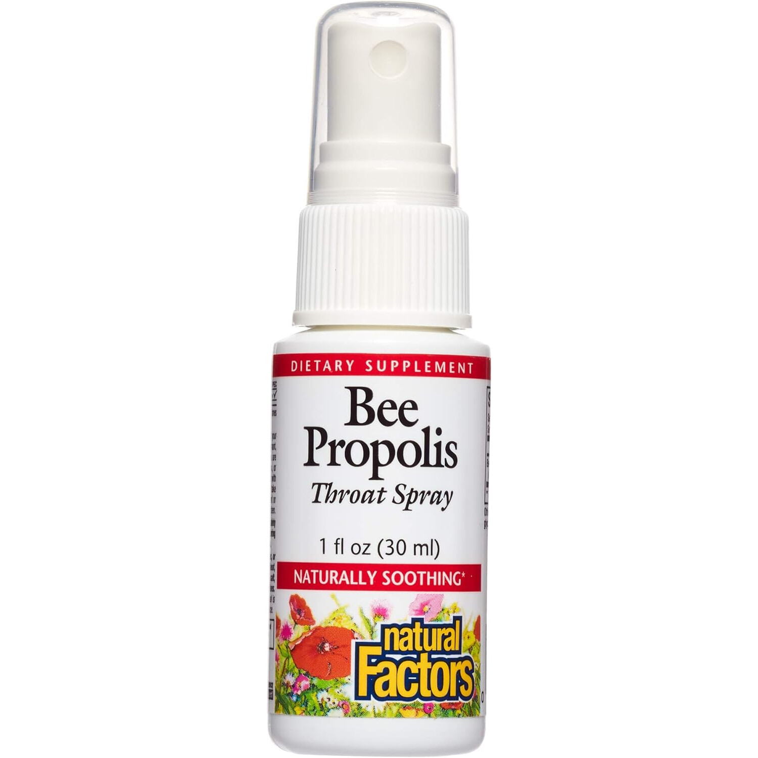 Natural Factors Bee Propolis Throat Spray, 1 Ounce