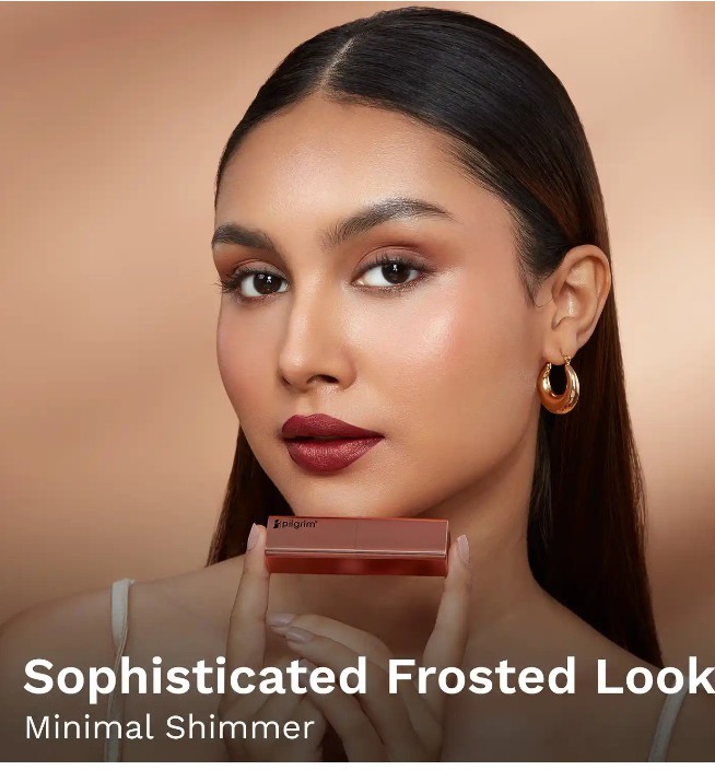 Maroon Frosted Shimmer Lipstick Luminous Bullet Lipstick