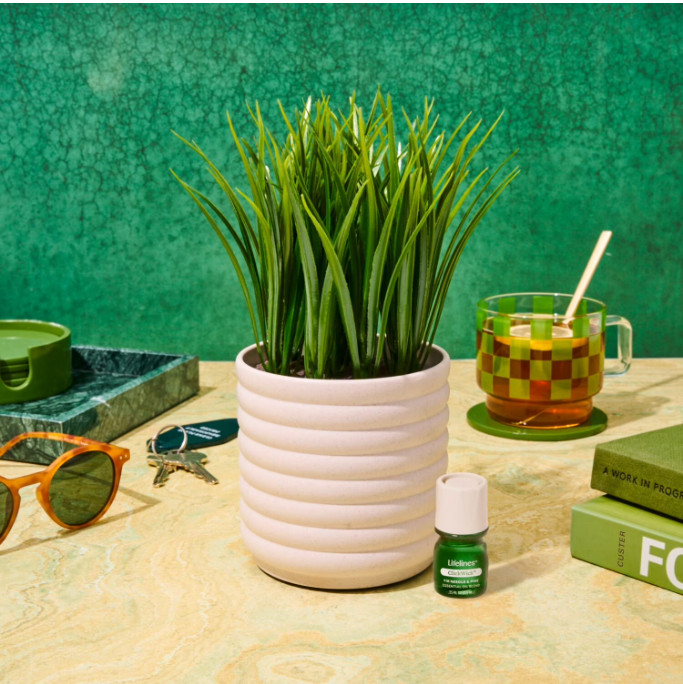 Lifelines Plant Diffuser Bubble White Grass Fir Pine Scent