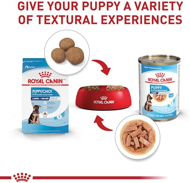 Royal Canin Size Health Nutrition Large Thin Slices in Gravy Wet Puppy Food,13 o
