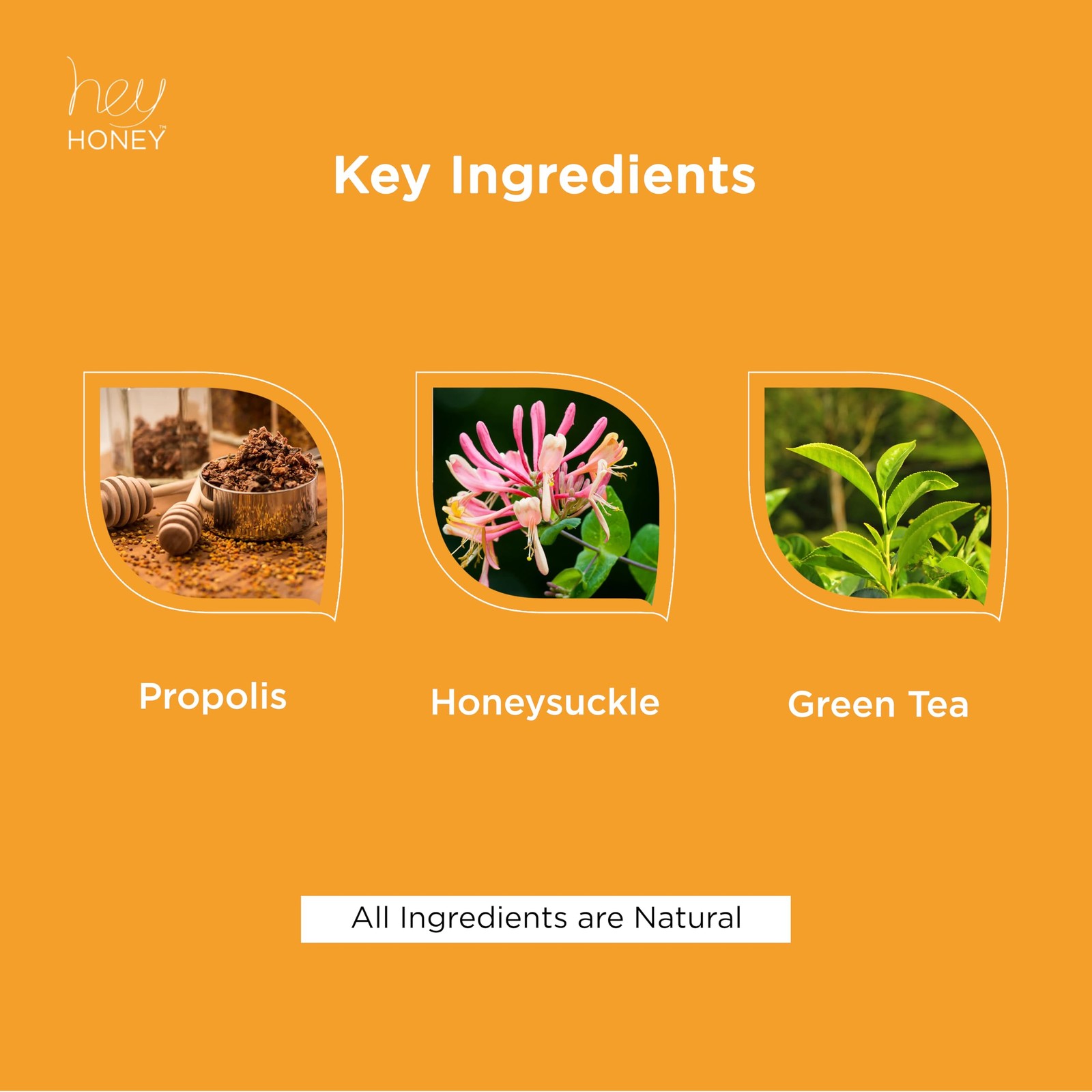 Hey Honey Skincare Propolis Facial Cleanser Foam Formula That Replenishes Skin