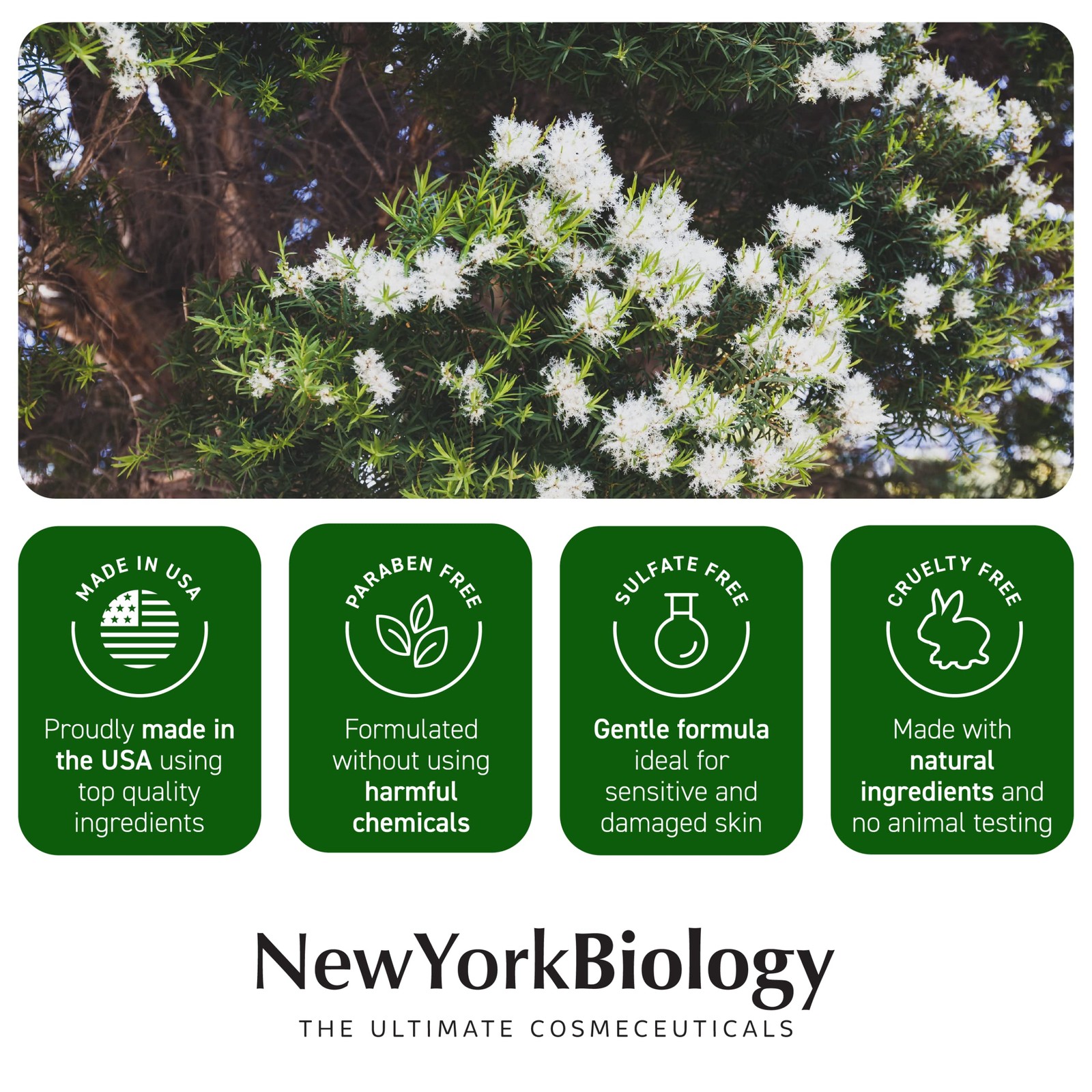 New York Biology Tea Tree Oil Foot Cream for Dry Feet Athletes Foot Nail Fu