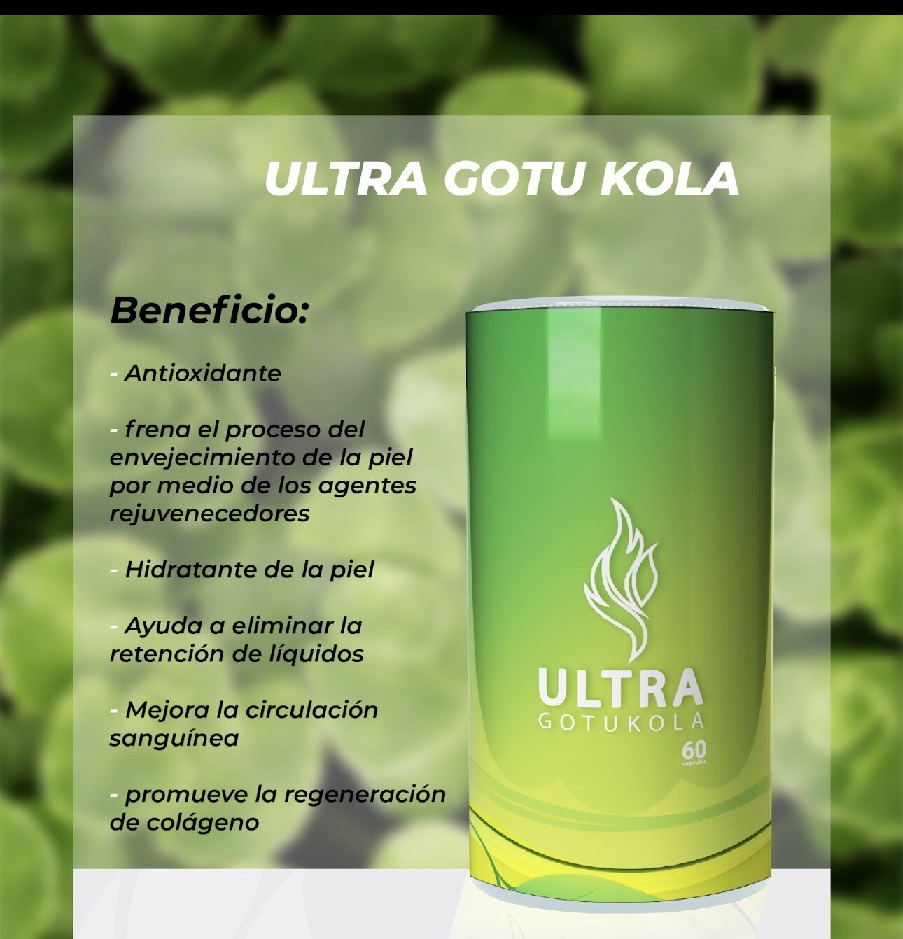Ultra GotuKola Suplemento anti-inflamatorio/Reduce la celulitis/Colageno/Natural