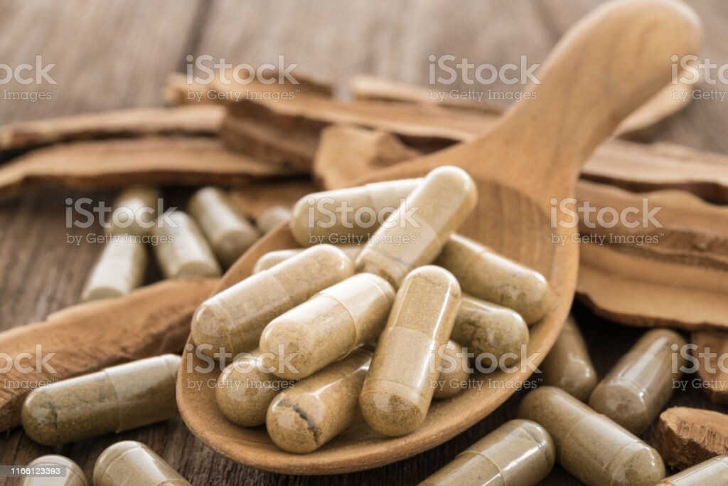 TEMULAWAK CAPSULES Curcuma Xanthorrhiza Java Turmeric Organic Wild Crafted Herbs