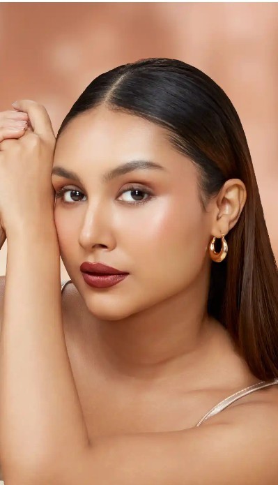 Maroon Frosted Shimmer Lipstick Luminous Bullet Lipstick