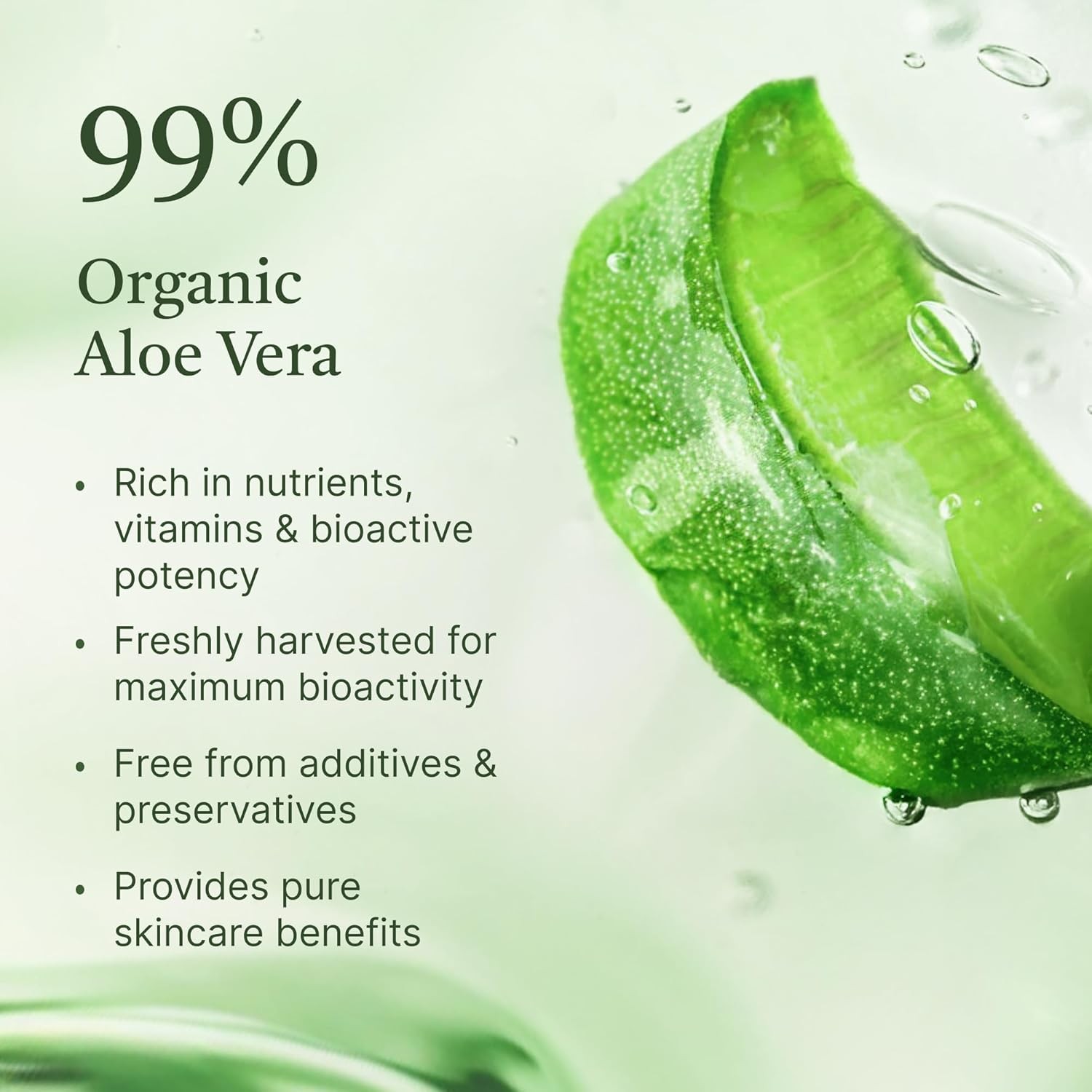 Aloe Vera Gel Set – JUMBO 20Oz – Sunburn Relief & Hydration for Face, Body, Scal