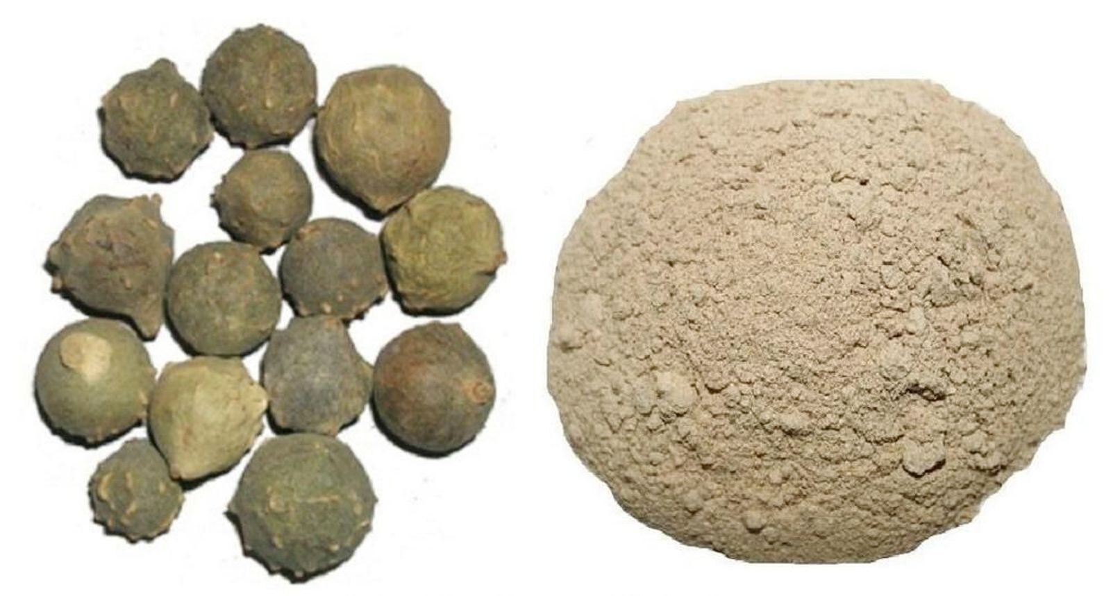 Majuphal Manjakani Quercus Infectoria Nutgalls Gallnuts Oakgalls Majuphal Powder