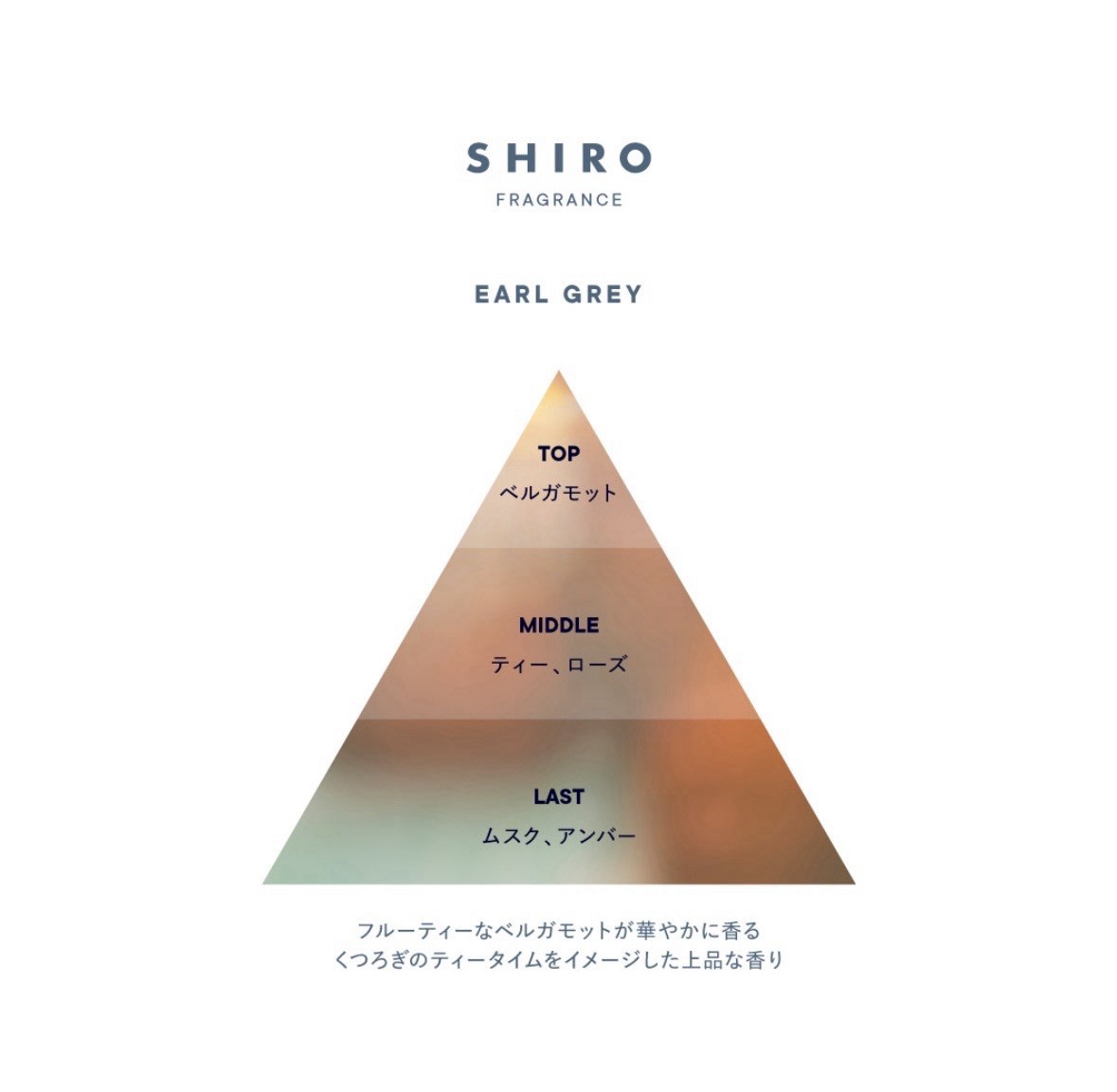 SHIRO Fragrance Eau de Parfum 40mL EARL GREY Japan