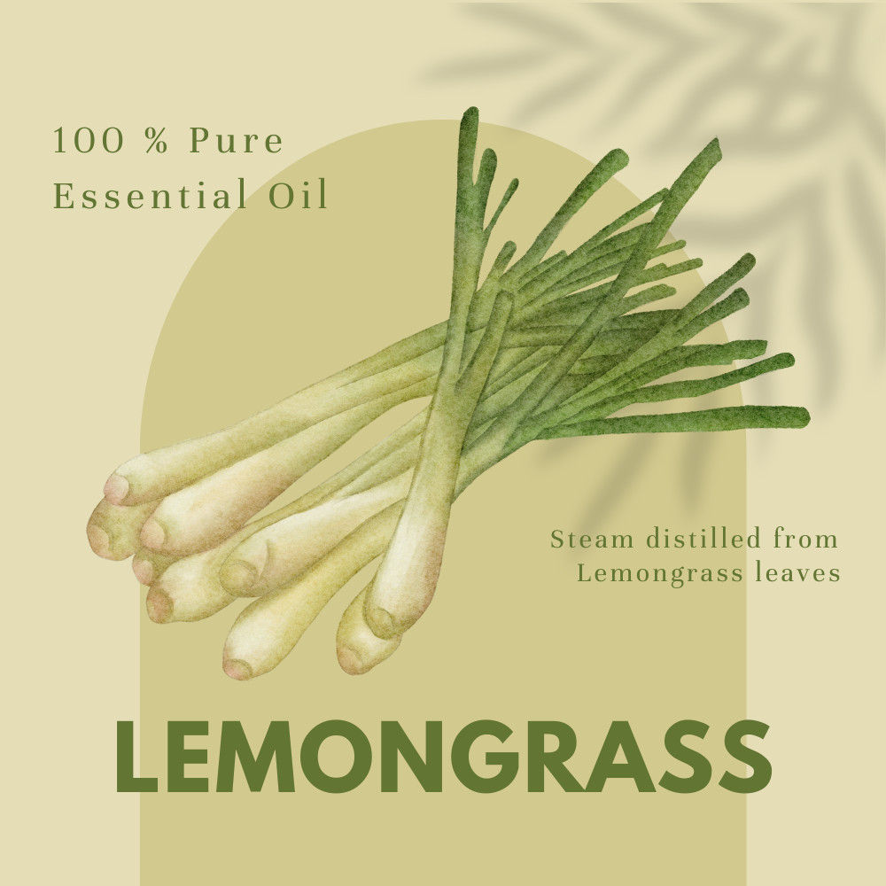 4 fl oz Lemongrass Essential Oil (100% Pure & Natural) – GreenHealth