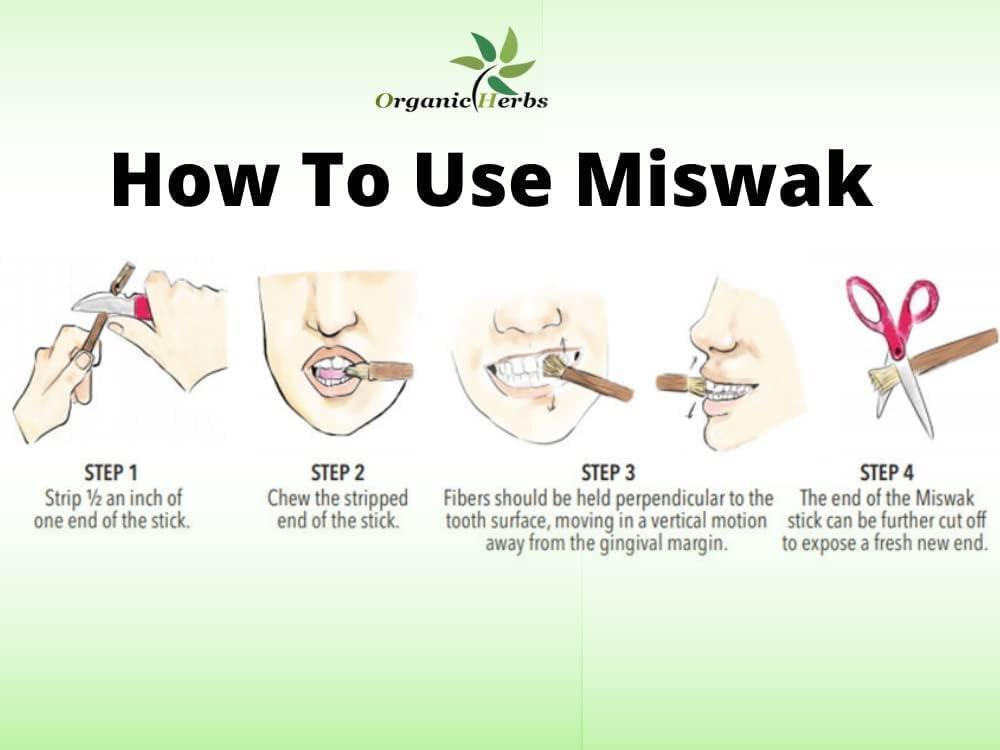 Al-Riyan Sewak Traditional Miswak Toothbrush-Vacuum Packed Natural Flavor
