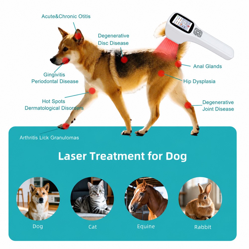 0-2500mW Cold Laser LLLT Therapy Device For Human Pets Muscle Joint Pain Relief