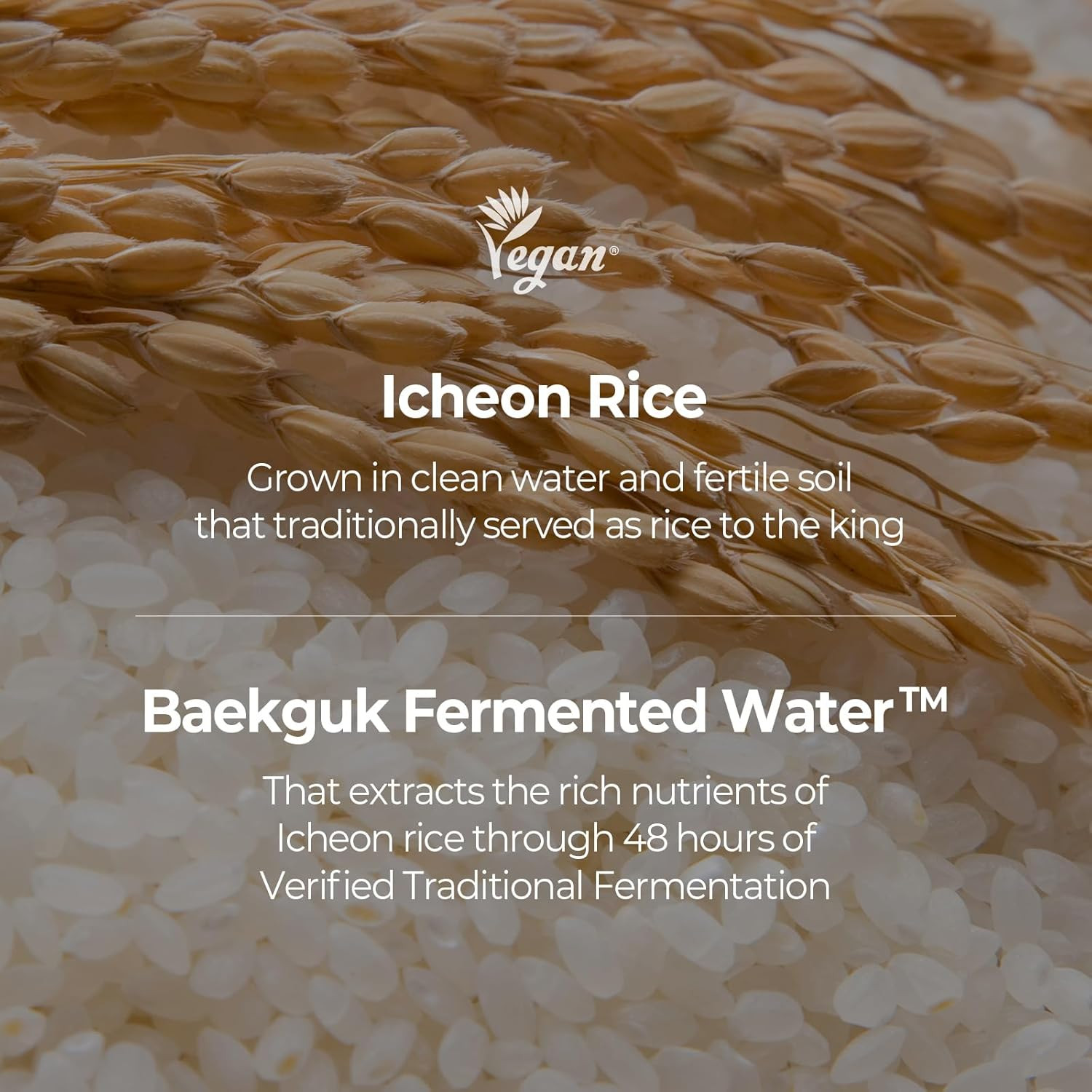 SKINFOOD Rice Starter Kit, Rice Toner, Rice Serum, Rice Moisturizer, and Rice Fa