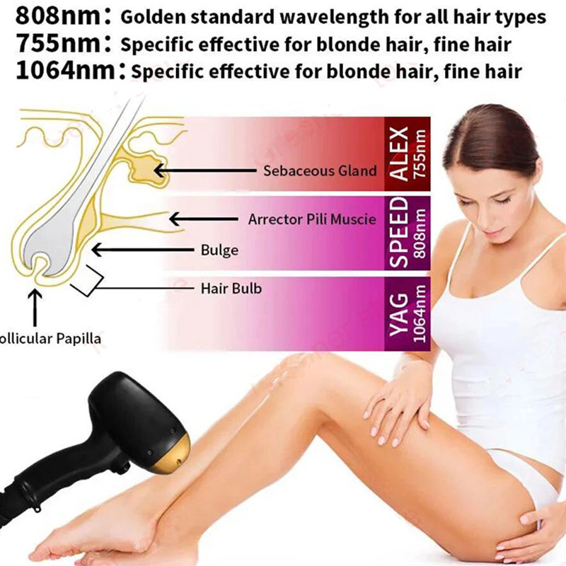 Professional Laser Tattoo Removal 2in1 Titanium Diode Laser Hair Removal Machine