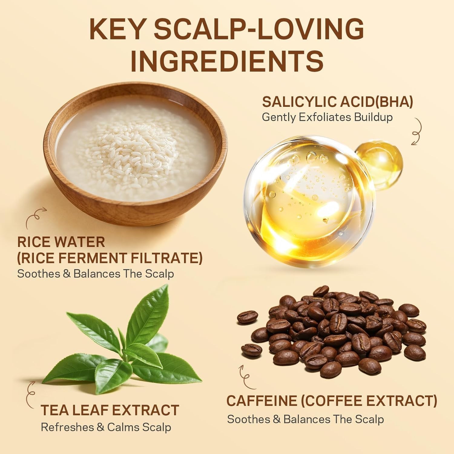 AMOADO Rice Water Scalp Scrub with Salicylic Acid(BHA), Tea Tree & Rosemary – Ge