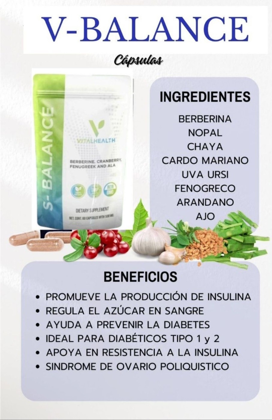 VitalHealth S-Balance Blood Sugar Support Cactus Chaya 60 Veggie Caps Non-GMO