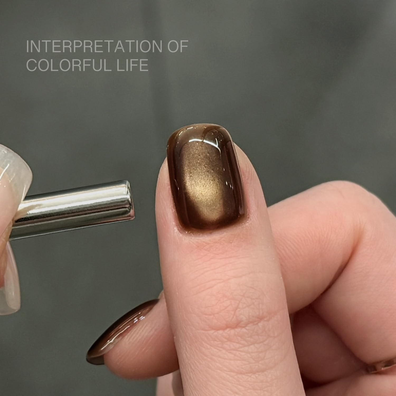 Jelly Brown Cat Eye Gel Nail Polish 16ml Holographic Glitter UV Magnet Gel