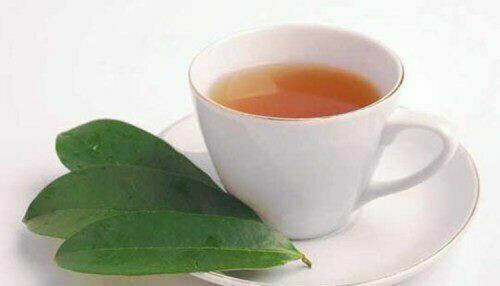 Soursop Graviola 100 TEA BAGS Pure Leaf Tea by YOKABA – Annona Muricata