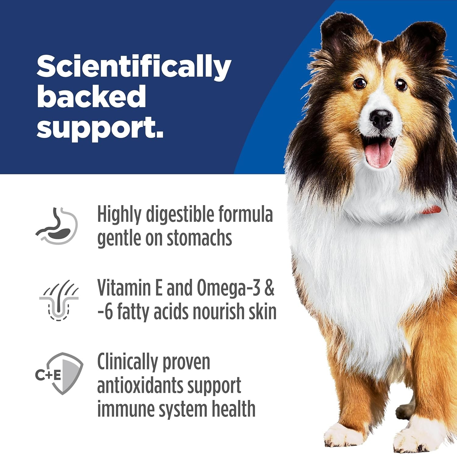 Hill’s Science Diet Adult Sensitive Stomach & Skin Dry Dog Food,Chicken,30 lb. B
